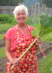  Garden tour guide and chef at Jewell Gardens shows off rhubarb, Skagway.  Miners ate it to prevent scurvy.