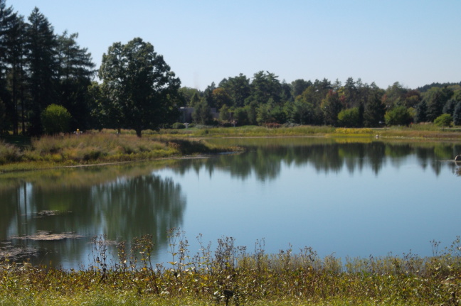  Susan loves reflection pictures, and was pleased with this one she took at Morton Arboretum