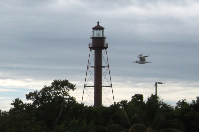  A gull wings past the "lighthouse" on Sanibel's eastern tip, FL