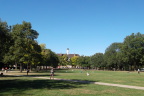  The quadrangle at U of Illinois has always been expansive