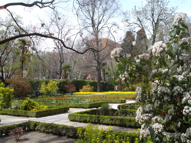  Flores y Arboles cerca del Prado