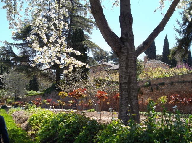  Gardens at end of LONG walk through the Alhambra