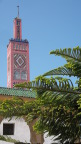  Tiled minaret of mosque in Tangiers; Araucania tree