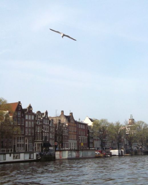 View from our boat trip around Herengracht Canal - VERY expensive houseboats