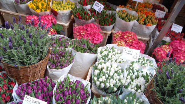 Amsterdam flower market