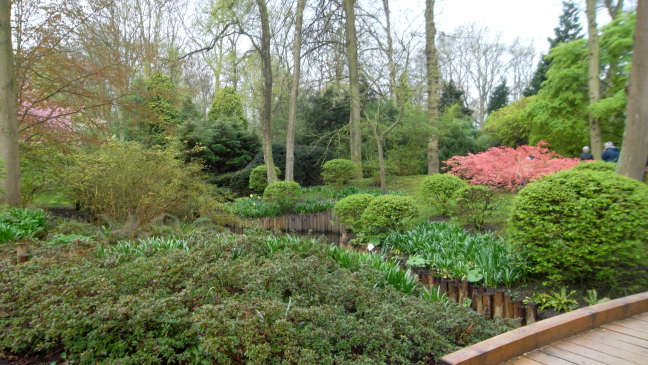 Keukenhof Gardens vista with azaleas