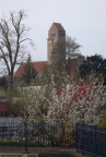  Village church, Kinderdijk