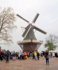  Traditional windmill with sails attached, Keukenhof Gardens
