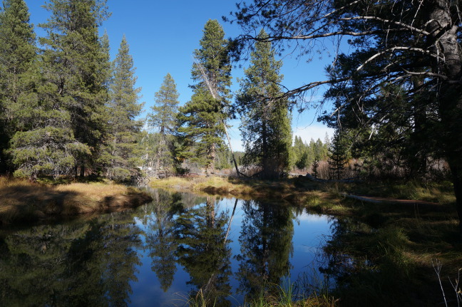 Reflections in Donner Creek