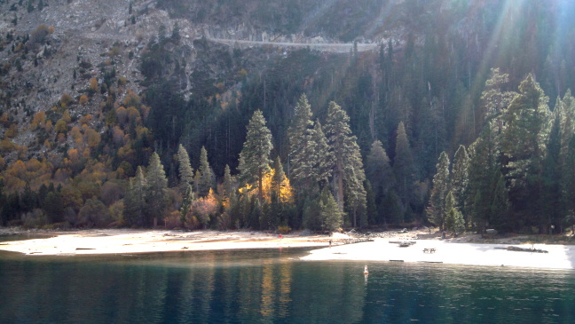 Golden aspens on the shore of Emerald Bay, Lake Tahoe