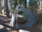  Rock in burbling Donner Creek, Donner Memorial State Park, CA