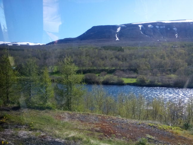 Sparkling river, some of the few remaining native trees