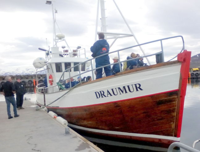 Our whale-watching boat