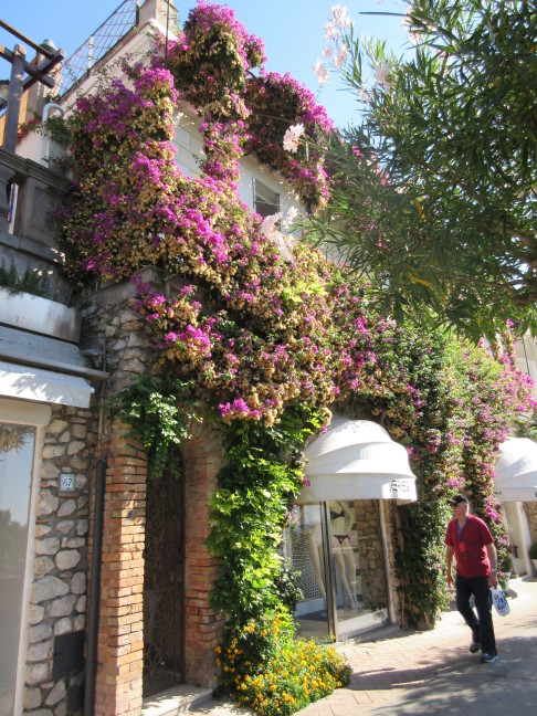 Our guide Jan called this the "fancy street" in Capri - Dior, Chanel, etc. and bougainvilla