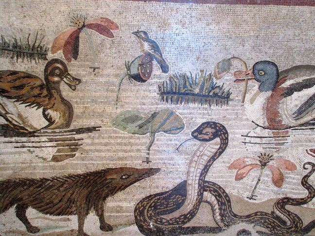 Mosaics from Pompeii in Naples museum