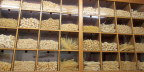  Products of the pasta factory we visited