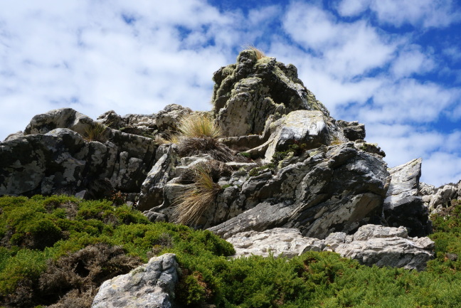 Twisted rocks in the Falklands