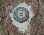  Survey marker, Mt. Greylock, MA