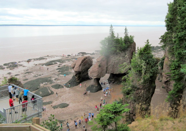 Flowerpot stacks at low tide, Hopewell Rocks, Bay of Fundy