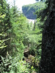  Forest view of Bay of Fundy shoreline