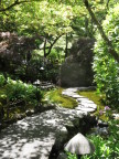  Meandering path through Japanese garden at Butchart Gardens, Victoria, BC