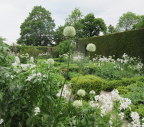  The famous white garden, Sissinghurst