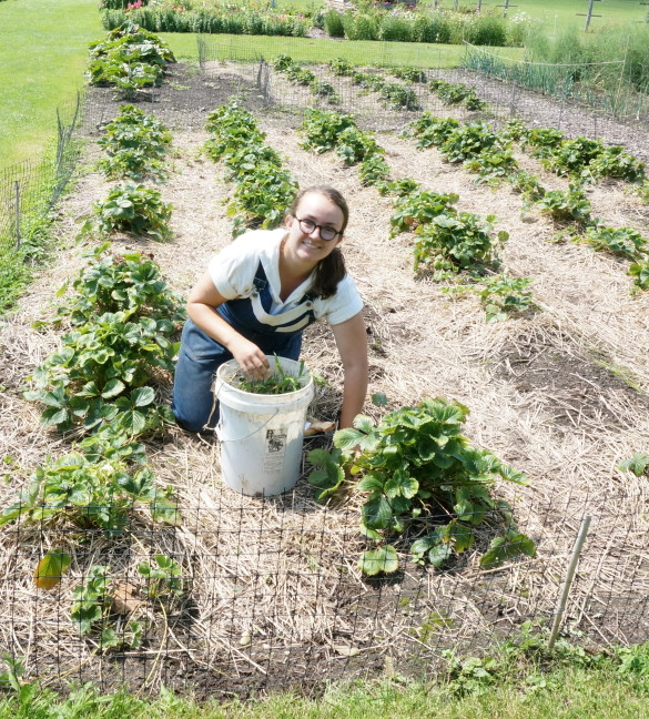 Friendly gardener at work