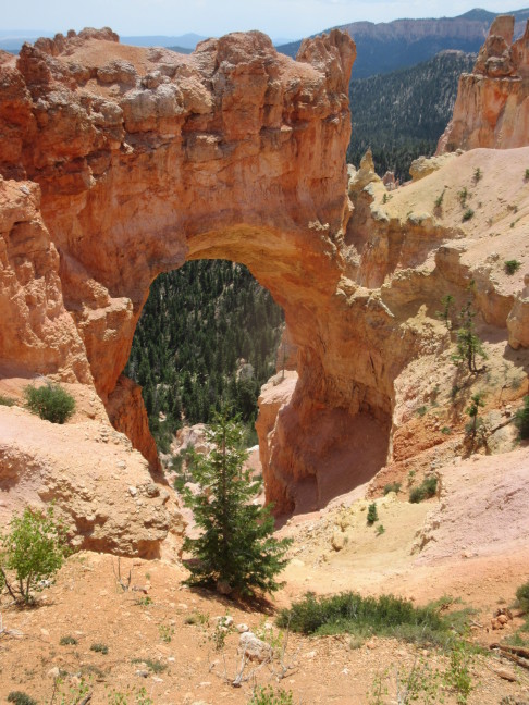 Arch (or bridge?), Rainbow Point, Bryce Canyon