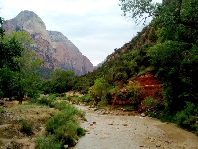 Roaring Virgin River carved out Zion