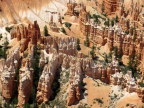  Hoodoos from frost action on fins of sandstone