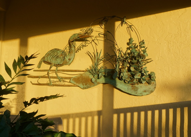 Sunset glow bathes the flamingo on our deck