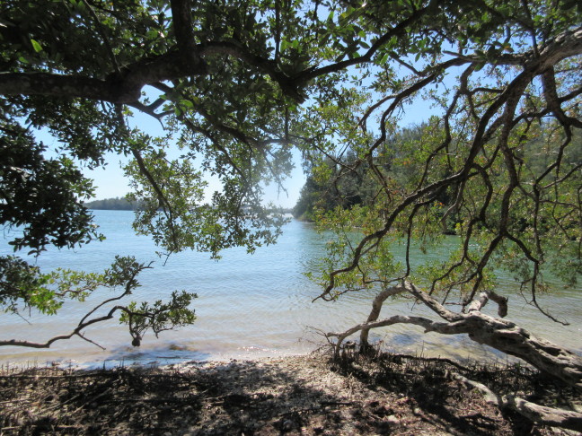 Tranquil shoreline in Saratoga harbor