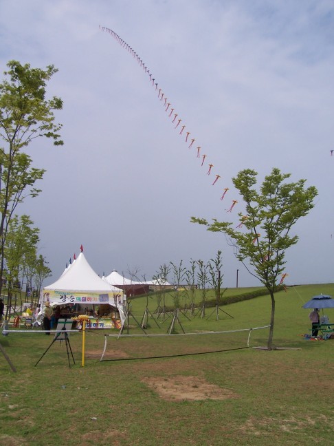A string of kites enlivens the sky over the DMZ parking lot.