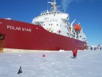  Polar Star in the ice