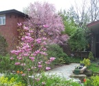  Susan's garden in Pittsburgh