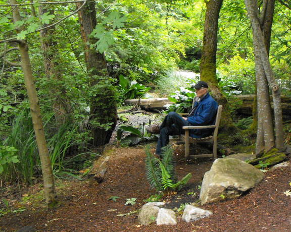  Contemplating the Bellevue Botanical Garden