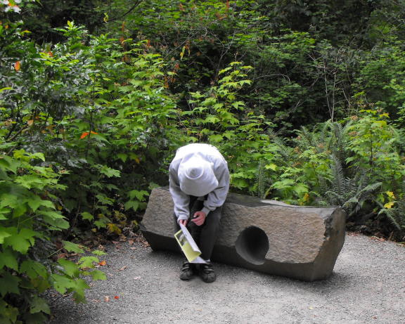  Wyatt checks out the art in Bellevue Botanical Garden
