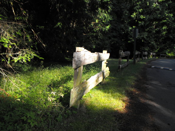  Fence near our cabin