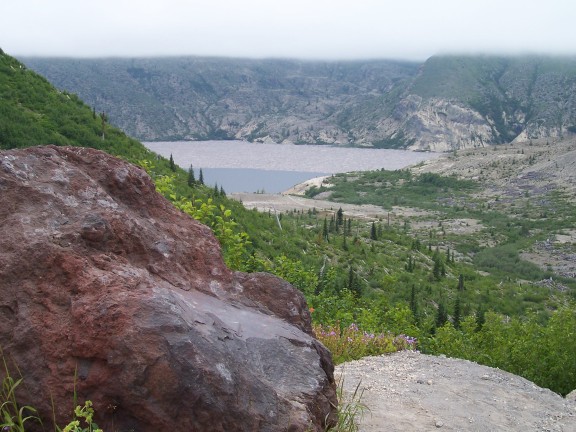  Spirit Lake is still laden with thousands of blast-borne trees