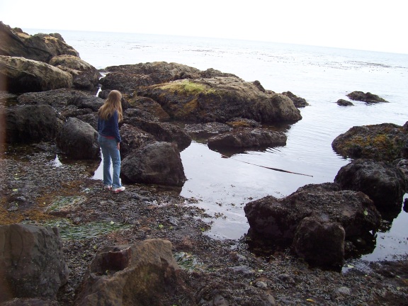 Seashore in Makah Reservation
