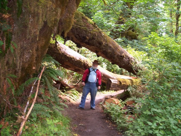  Fred on Spruce Trail in Hoh Rain Forest