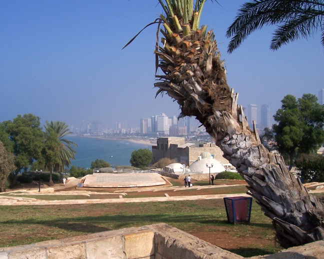  Tel Aviv shoreline as seen from Jaffa