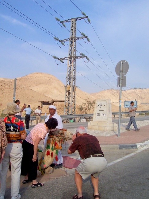  Petting a camel at sea level on the way to the Dead Sea