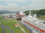  Cruise ship in Miraflores Lock on Panama Canal; container ship has just exited