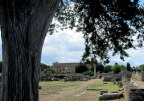  More Paestum Greek ruins, site uncovered under Mussolini from centuries of flood damage

