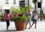 Children in Ravello town plaza
